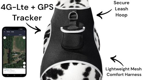 Collar Attached GSM Rechargeable Cat Locator Device GPS Realtime Tracker w/ App Size:L