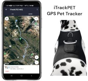 Efficient Realtime Waterproof Mini GSM GPRS Pet Tracker Rechargeable Size:L