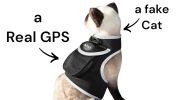 GPS GSM Waterproof Pet Tracker Rechargeable Portable Tracking Device Size:L