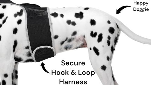 NEW GPS Dog Collar High Rated Reviews Realtime Waterproof Pet Tracker Size:L