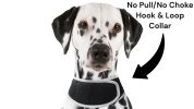 Lightweight Wearable Dog Tracking Device Rechargeable Mini Pet Locator Size:L