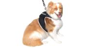 Mini Quad Band GSM GPS GPRS Pet Tracker for Dog & Cat with Phone App Size:L