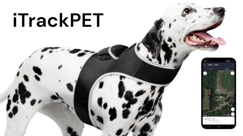 NEW Movement Sensitive GSM GPS Phone Pet Tracker Waterproof Collar Tag Size:L