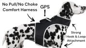 Observe Pet Location While Working - Pet Tracker Rechargeable Dog GPS Collar Tracker Size:L