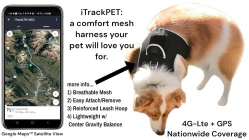 GSM GPS Animal Tracker Collar Attached Rechargeable Realtime Surveillance Gadget Size:L