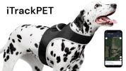 Pet Tracker Waterproof Tracker w/ Online GPS Pet Tracking System Phone App Size:L