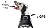 Pet Tracker Rechargeable Pet Collar Tracker Best GPS Tracking Device + Realtime App Size:L