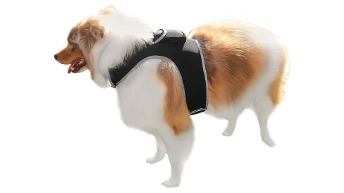 Realtime Animal GPS Pocket Collar Mount Tracking Device for Cats Dogs Size:L