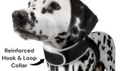 NEW Pet Finder Waterproof GSM GPS Collar Tracker for Easy Pet Tracking Size:L