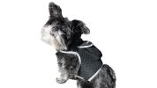 Pocket Waterproof Collar GPS Pet Locator Realtime Remote Surveillance Size:L