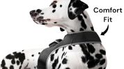 Pet Tracker Rechargeable Pet Collar Tracker Best GPS Tracking Device + Realtime App Size:L