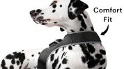 Hunting Made Easy w/ NEW Pet Tracker GPS Tracking Collars for Hunting Dogs Size:XL