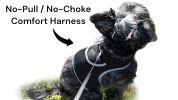 Mini Waterproof GPS Tracking Collars for Hunting Dogs w/ Tracking App Size:L