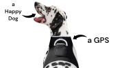 Realtime App Surveillance GPS Dog Tracking Device Wireless Pet Tracker Size:XS