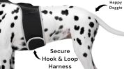 Realtime Mini GSM GPS Puppy Tracker Portable Pet Finder w/ Geo-fencing Size:XS